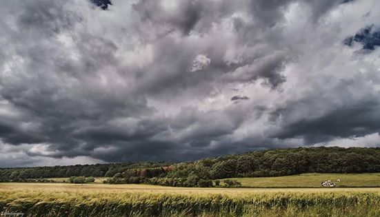 Photographie de nature avec un ciel menaçant au dessus des champs de céréales